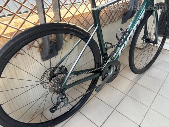 Vélo de route Giant Defy Advanced 3 2024 Taille M - 2