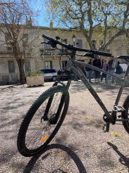 Velo vtt (mountainbike, mtb) Principia - 3