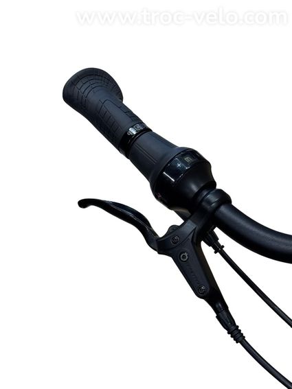 Batavus Finez E-go Power Exclusive Vélo électrique Shimano Nexus 2023 - 5