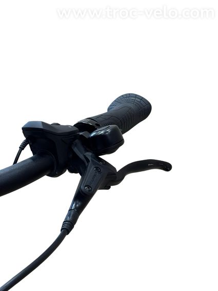 Batavus Finez E-go Power Exclusive Vélo électrique Shimano Nexus 2023 - 6