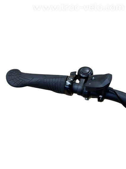 Batavus Finez E-go Power Exclusive Vélo électrique Shimano Nexus 2023 - 7