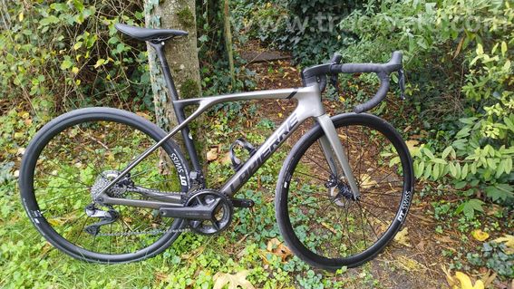 Lapierre Xelius SL 7