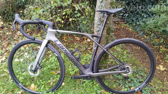 Lapierre Xelius SL 7 - 2
