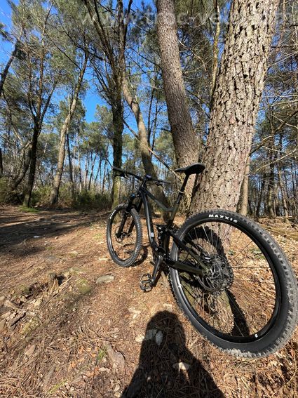 Giant trance x advanced pro 2