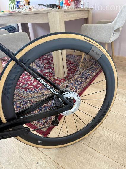 Ridley Falcon RS 2025 - 9