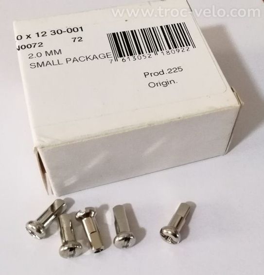 DT SWISS Ecrou de rayon Laiton 12mm 2.0 silver x72 velo