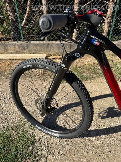 VTT 29M Scalpel Crb 3 CRD de 2924  - 7