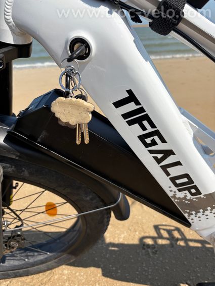 Vélo électrique Fatbike - 14