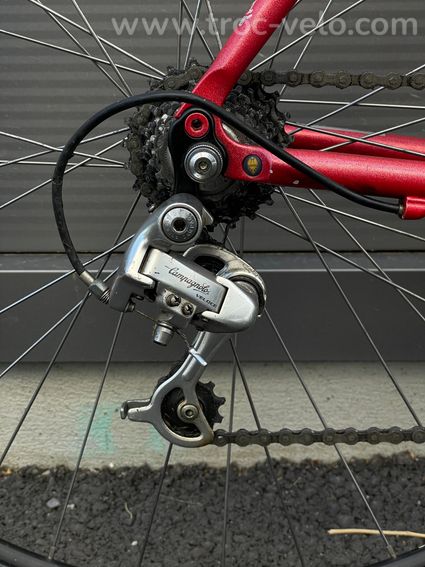 Bianchi Lite Alloy Reparto Corse - Campagnolo Veloce - Entièrement révisé Taille S - 9