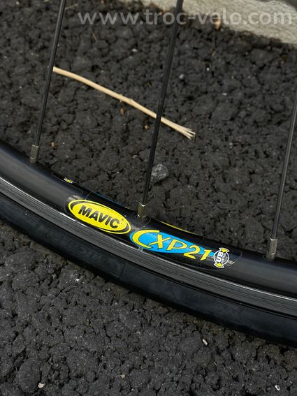 Bianchi Lite Alloy Reparto Corse - Campagnolo Veloce - Entièrement révisé Taille S - 15