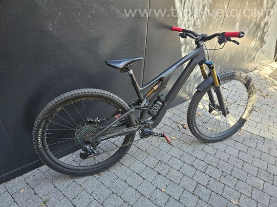 Stumpjumper s works 2023