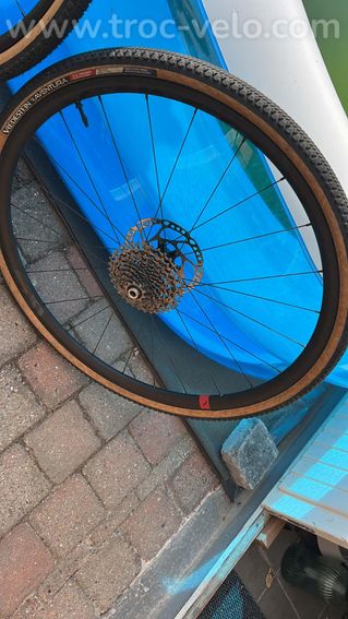 Gravel Ridley Carbone - 7