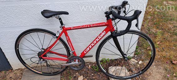 Vélo Route Cannondale SYNAPSE taille 48