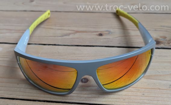 Lunettes Ion RAM 3001 - 2
