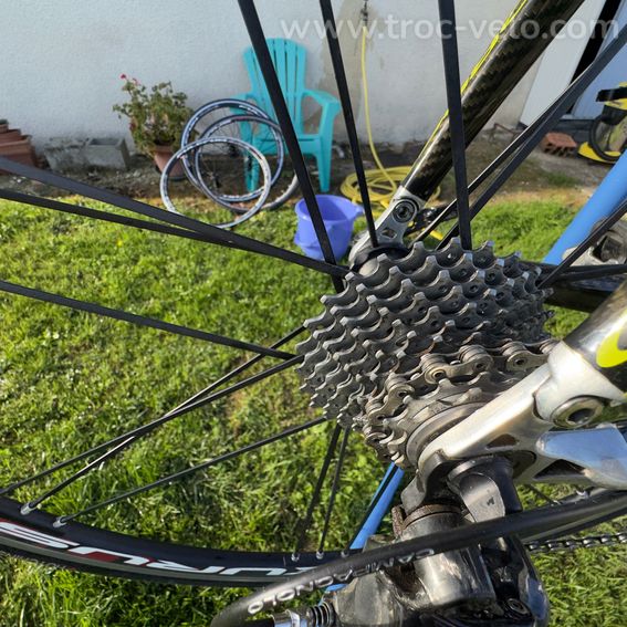 Orbea orca - 11