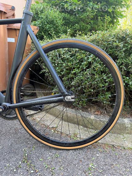 Aventon Mataro Low 2015 - 6