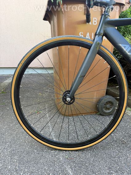 Aventon Mataro Low 2015 - 5