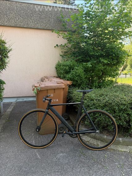 Aventon Mataro Low 2015 - 2