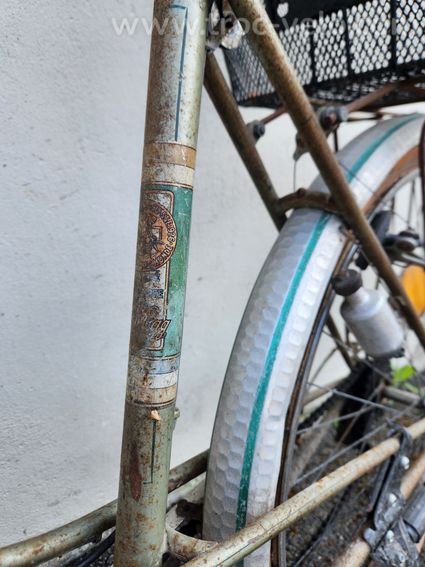 Vélo de ville Oscar Egg - 5