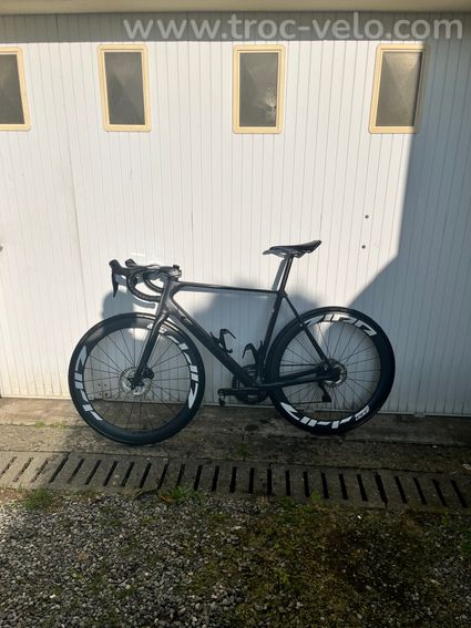 Orbea orca  - 2