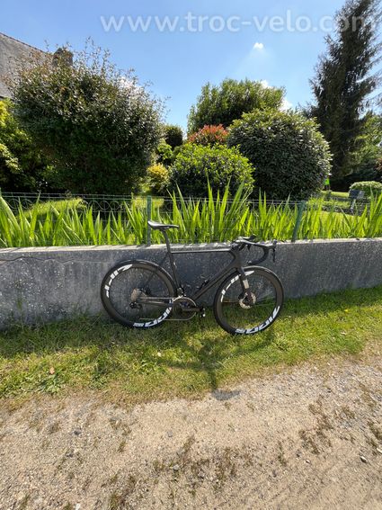 Orbea orca  - 3