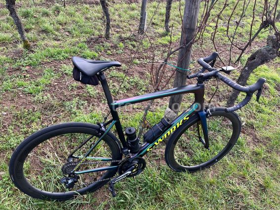 Sworks Tarmac SL6