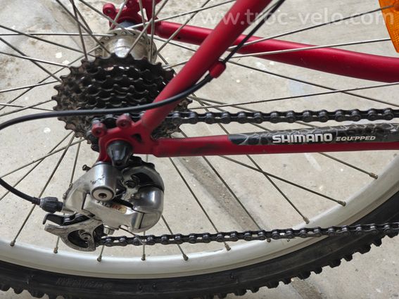 VENDS  VÉLO HOMME-Taille M - 2
