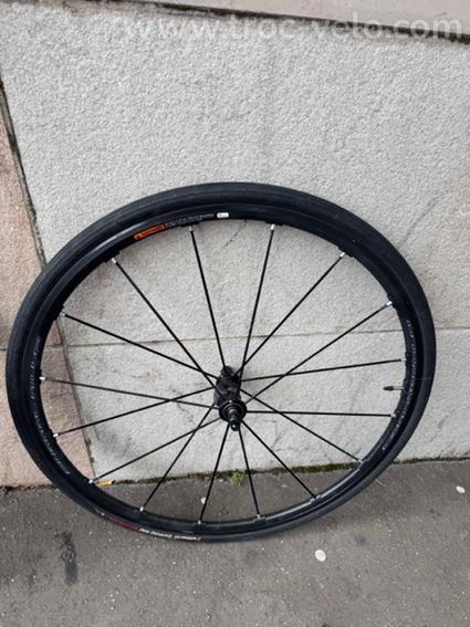 Roue Campagnolo Shamal Mille - 3
