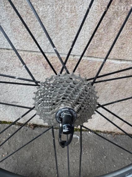 Roue Campagnolo Shamal Mille - 4