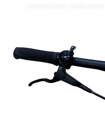 Tenways CGO600 Pro Vélo électrique Single-Speed 2023 - 5