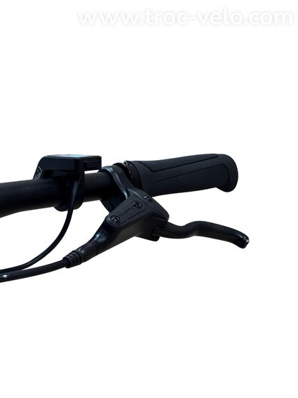 Tenways CGO600 Pro Vélo électrique Single-Speed 2023 - 6