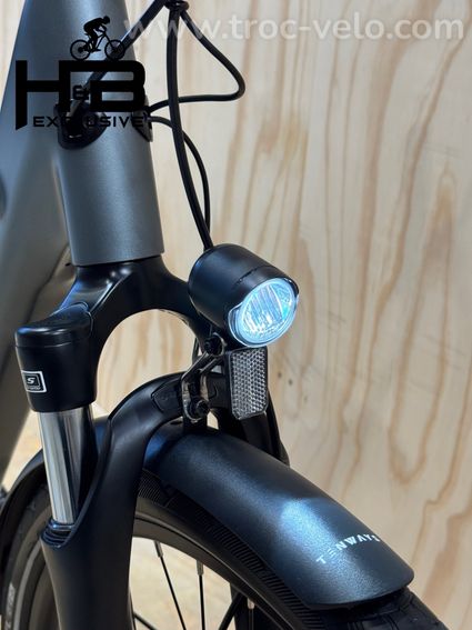 Tenways CGO800s Vélo électrique Single Speed 2023 - 4
