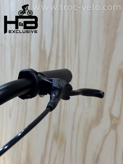 Tenways CGO800s Vélo électrique Single Speed 2023 - 6