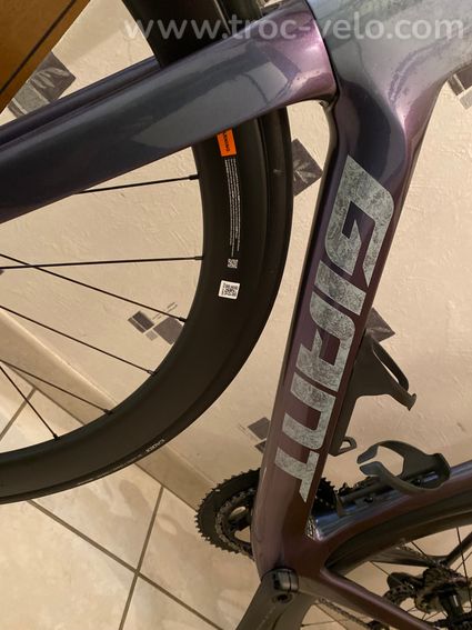Cadre giant Propel - 3