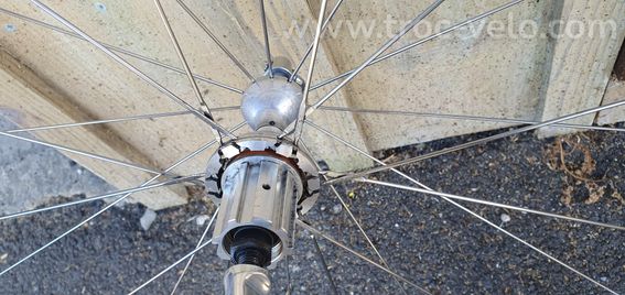 Campagnolo Proton - 3