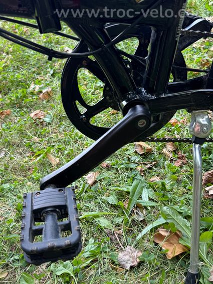 🚲 Vélo électrique pliant Bizobike - 808km - 550 € - 7
