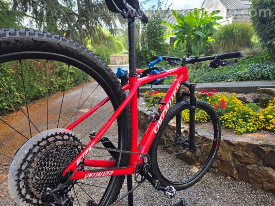 Vtt Specialized full carbone - 2