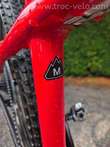 Vtt Specialized full carbone - 7