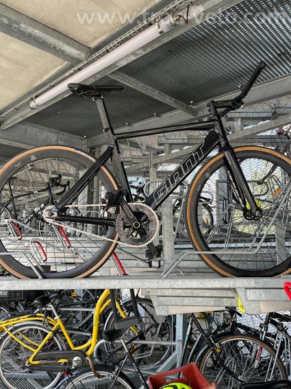Giant Omnium - 4