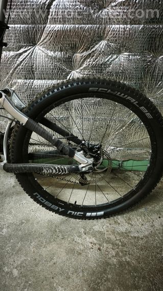 giant Reign - 4