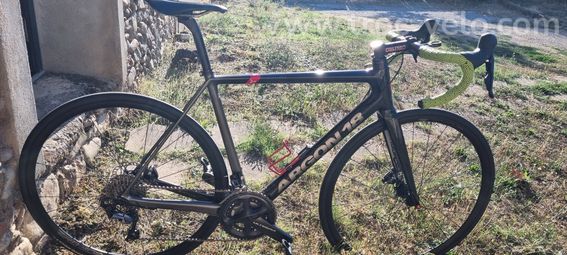 Velo argon gallium pro disc - 2