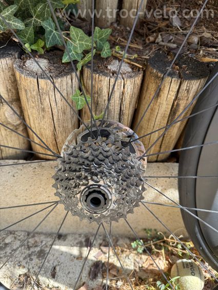 Paires de roues maxwheel carbone 50mm - 3