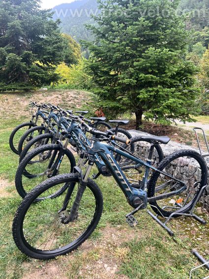 Vélos électriques S/M/L - 3