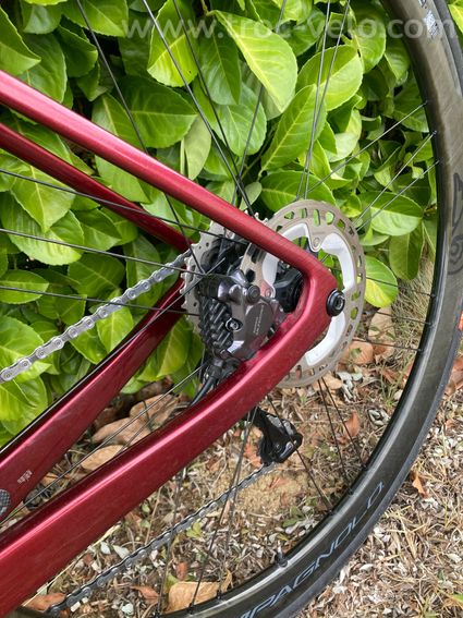 ARGON 18 SUM - ROUES CAMPAGNOLO - 6