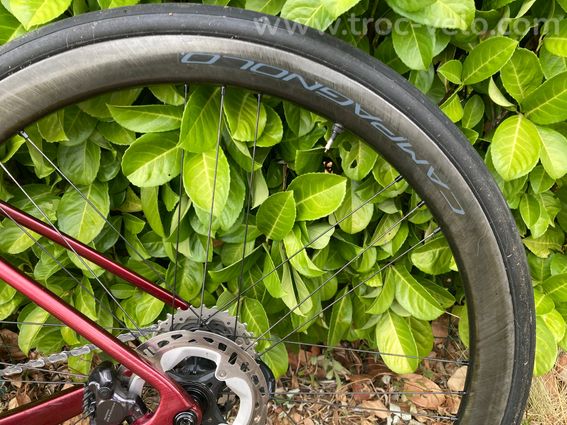 ARGON 18 SUM - ROUES CAMPAGNOLO - 10