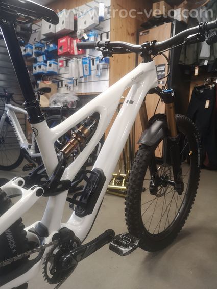 Specialized stumpjumper evo pro (S3)