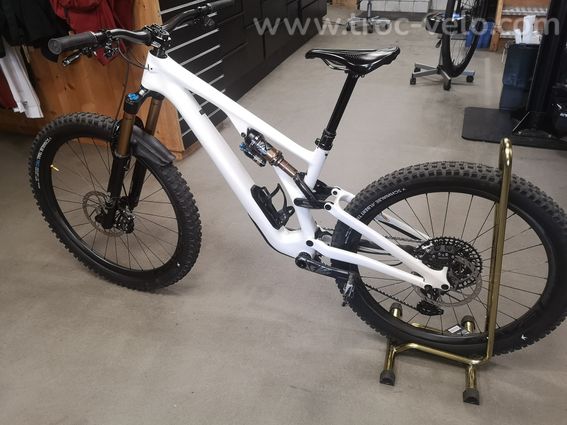 Specialized stumpjumper evo pro (S3) - 5