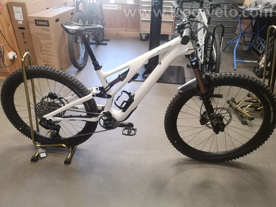 Specialized stumpjumper evo pro (S3) - 9