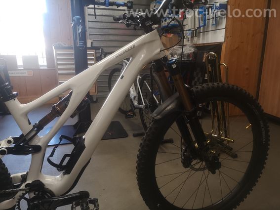 Specialized stumpjumper evo pro (S3) - 10