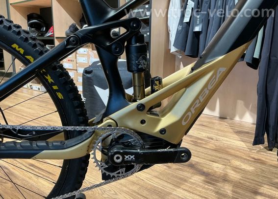 Orbea Wild M-LTD 2025 - 2